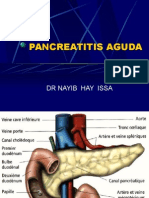 pancreatitisaguda-100906014146-phpapp02