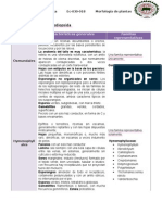 Morfo Ordenes y Caracteristicas