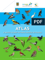 Atlas ornitologic