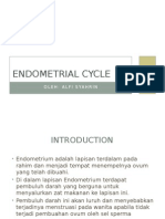 Endometrial Cycle