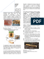 Uso de Trampas Atrayentes en El Control Del Picudo