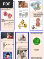 Leaflet ca paru