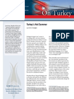 Turkey's Hot Summer: Analysis Analysis