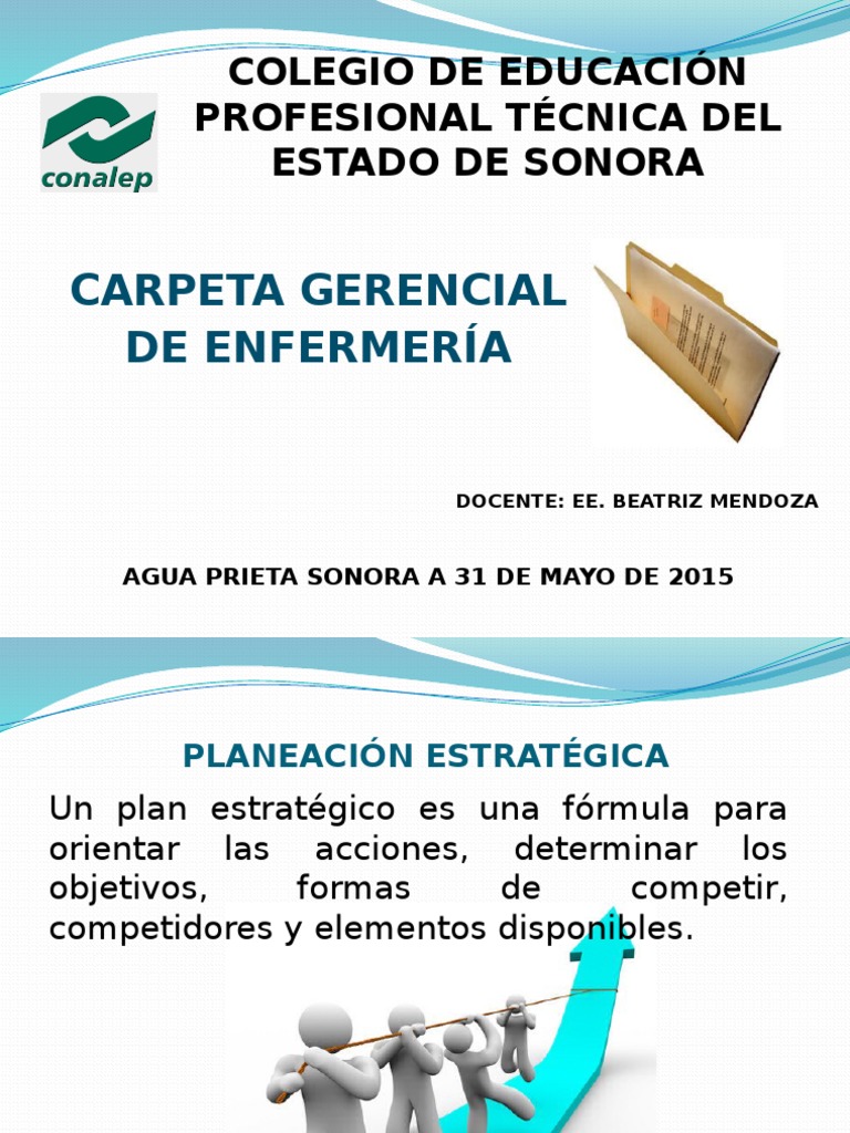 Carpeta Gerencial en Enfermería PDF Análisis FODA Salud y bienestar