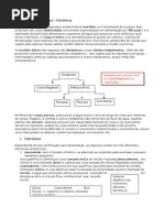 Resumo de Zoologia Poríferos