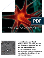 CELULA DENDRITICA.ppt