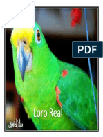 Loro Real.pdf