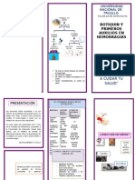 Triptico Primeros Auxilios - Hemorragias Final