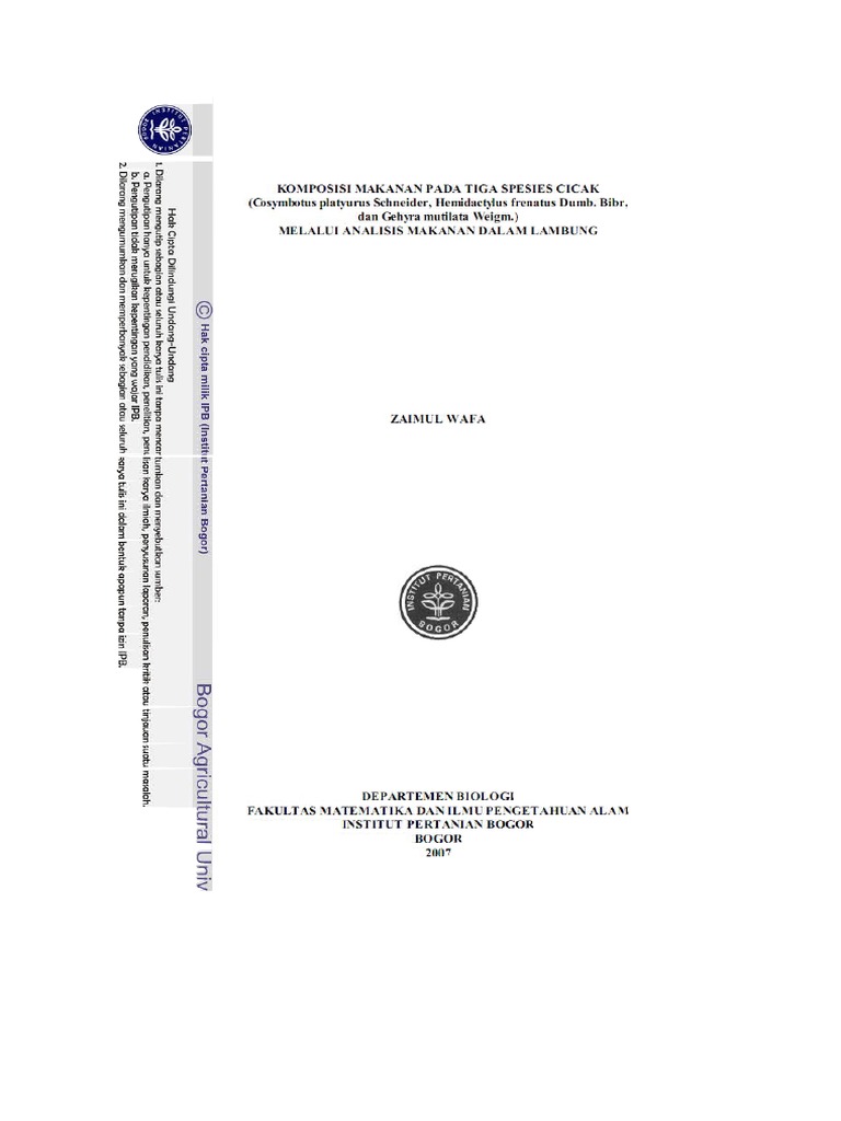 640 Koleksi Mewarnai Gambar Hewan Cicak HD Terbaru