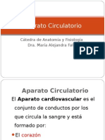 Sistema CirculatorioSistema CirculatorioSistema CirculatorioSistema Circulatorio