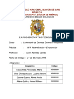 Informe de Química 8