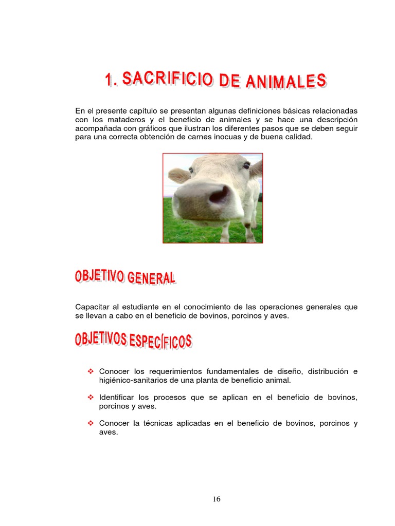 Sacrificio de Animales | PDF