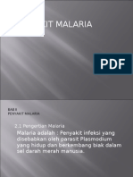 Penyakit Infeksi Malaria ppt
