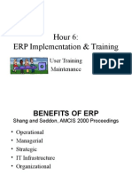 ERP Implementation & Training