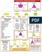 POTENCIAL FÍSICO Estructura del cuerpo humano y factores que influyen en el potencial físico