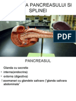 anatomia pancreasului si splinei