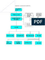 Etapas Para El Deshidratado y Secado de Alimentos