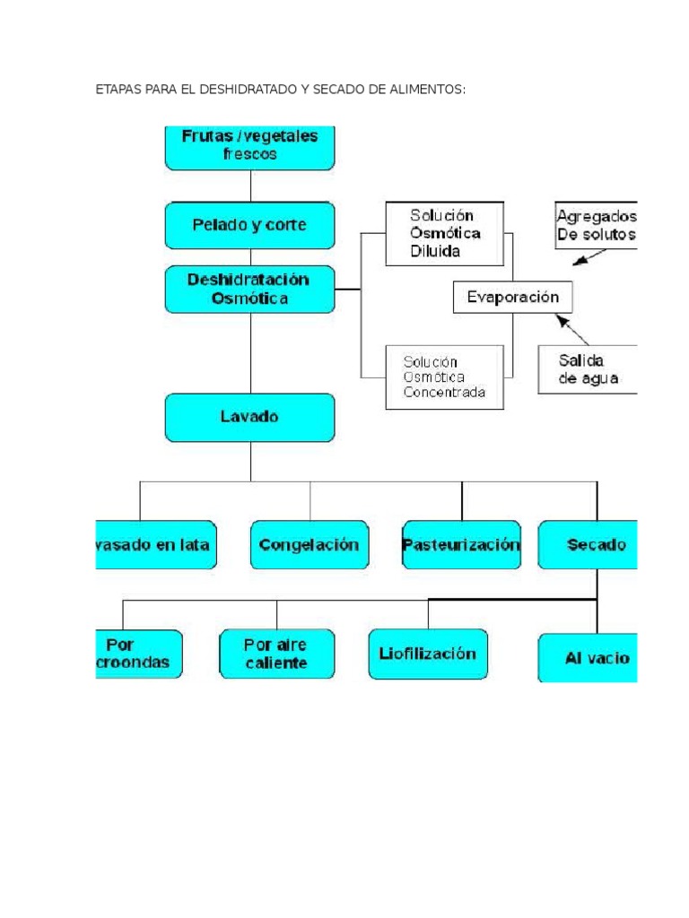 Etapas del Proceso de Deshidratación | PDF | Alimentos | Agua