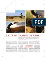 Zeste Juin 2015 - Le Teff, Graine de Saba