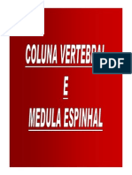 3- Coluna Vertebral [Modo de Compatibilidade]