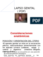 Tratamiento prolapso genital (POP) según clasificación POPQ