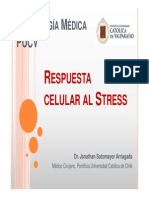 Respuesta Celular Al Stress
