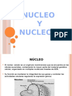 Nucleo y Nucleolo