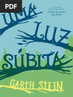 Uma Luz subita - Garth Stein