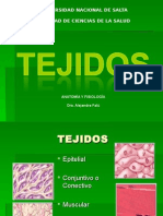 5 - Tejidos