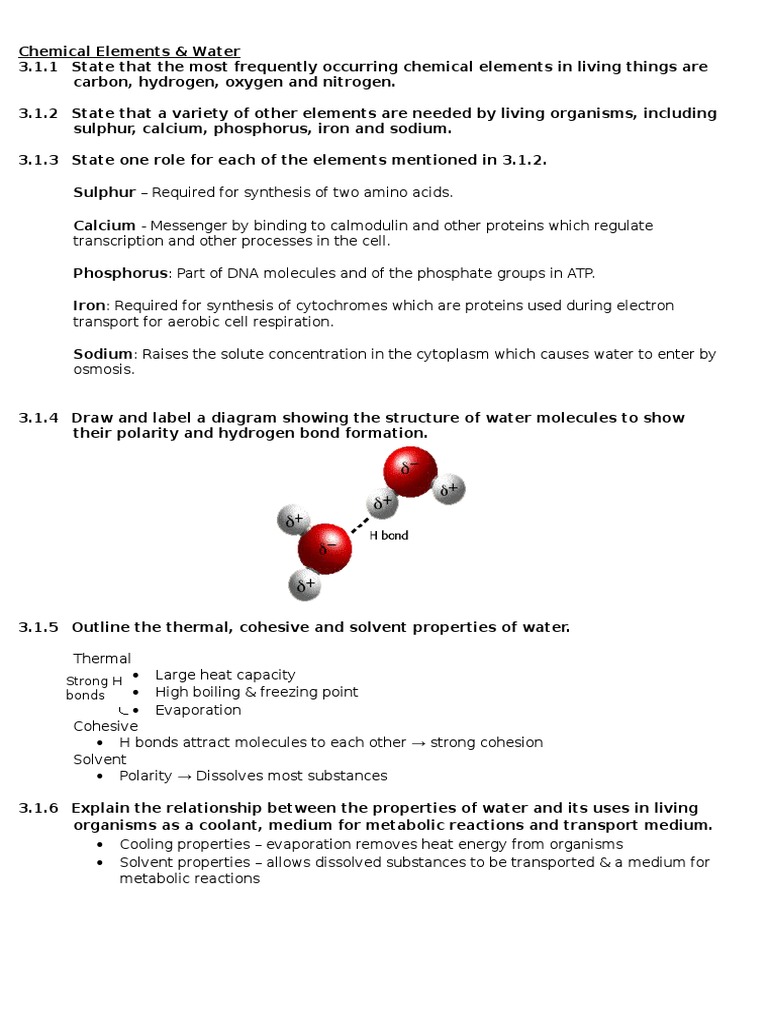 IB BIOLOGY SL TOPIC 3 Nucleic Acids & Proteins and Chemical Elements