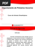 Sinantr+¦picos CV.ppt