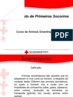 Sinantr+ Picos CV