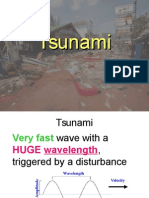 Tsunami Slides