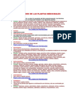 Propiedades de Las Plantas Medicinales