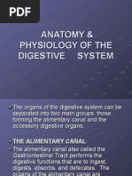 Download Anatomy amp Physiology of the Digestive System-powerpoint by lynflores272402 SN26920592 doc pdf