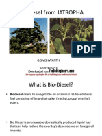 Bio-Diesel From JATROPHA