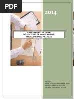 Planejamento de Ensino Trilhas Teórico Práticas