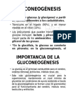 GLUCONEOGÉNESIS