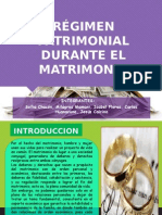 Regimen Patrimonial Durante El Matrimonio