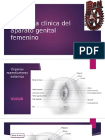 Anatomía Clínica Del Aparato Genital Femenino
