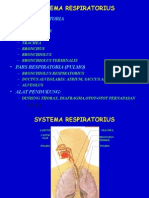 Histologi Sistem Respirasi