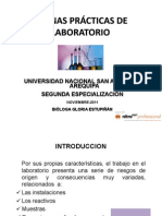 CURSO TALLER BPL UNSA Noviembre Diciembre 2011 (Modo de Compatibilidad) PDF