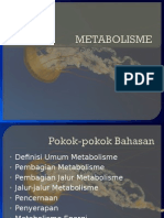 Metabolisme 