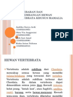 Persebaran Dan Perkembangan Hewan Vertebrata Khusus Mamalia