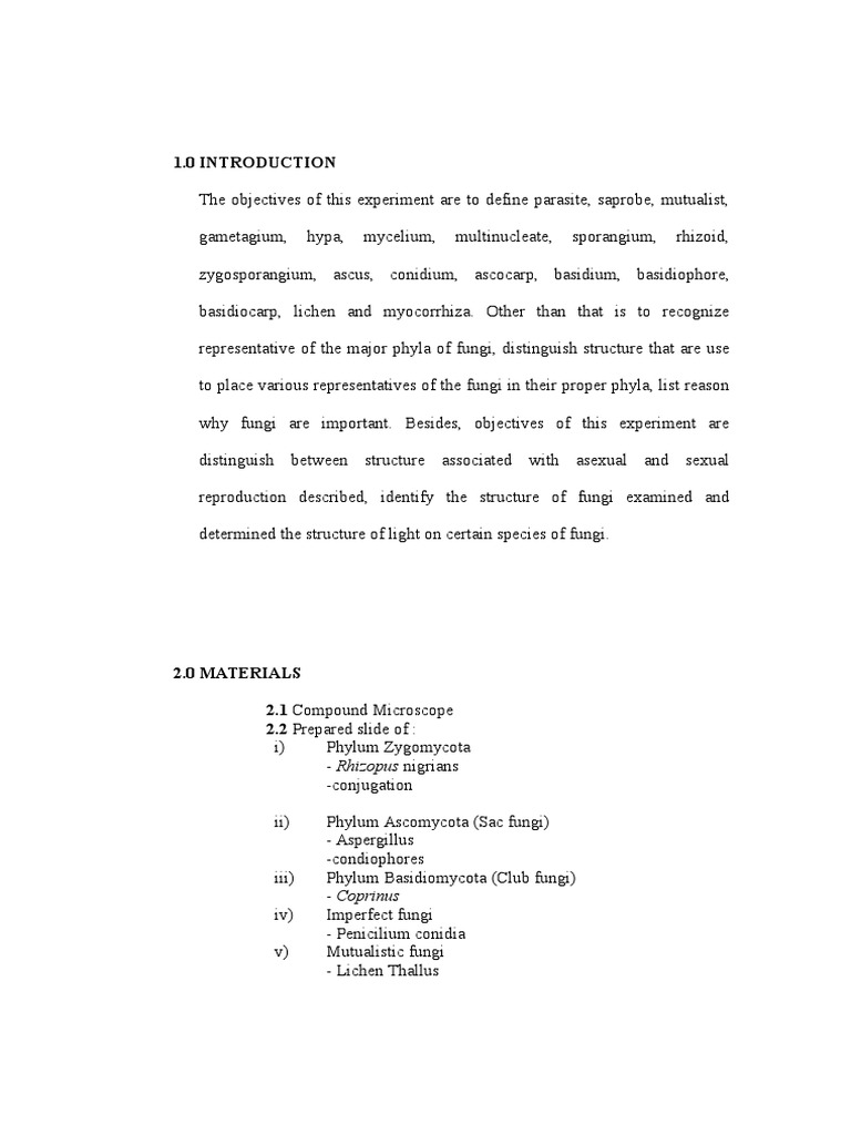 Phototropism experiment procedure picture