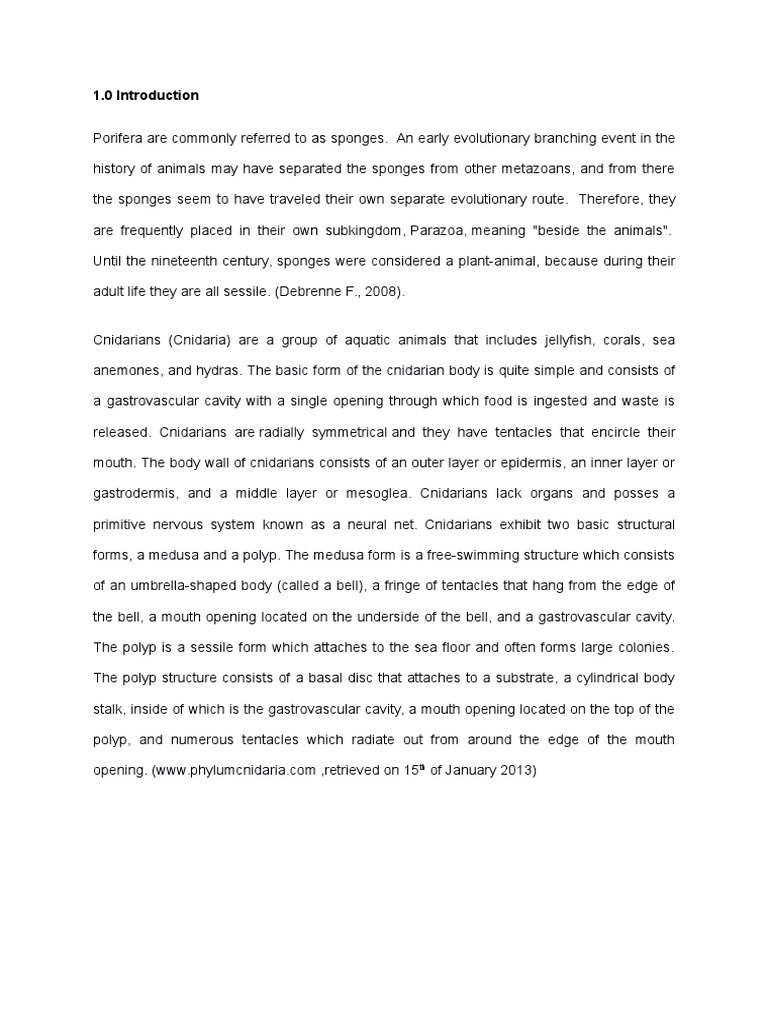 phylum | Animal Taxonomy | Zoology