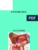Pancreasul