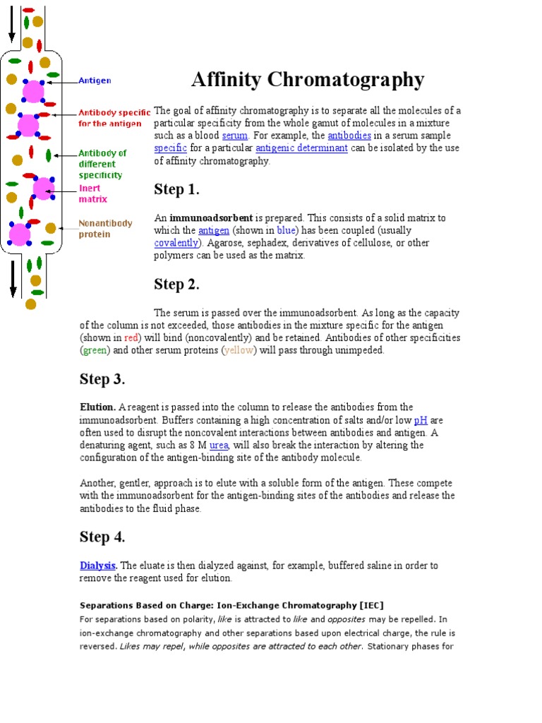 Affinity Chromatography PDF Ion Chromatography