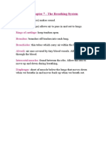 Chapter 7 - The Breathing System: Larynx: Trachea: Rings of Cartilage: Bronchus: Bronchioles: Alveoli