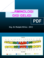 Terminologi Gigi Geligi 2012